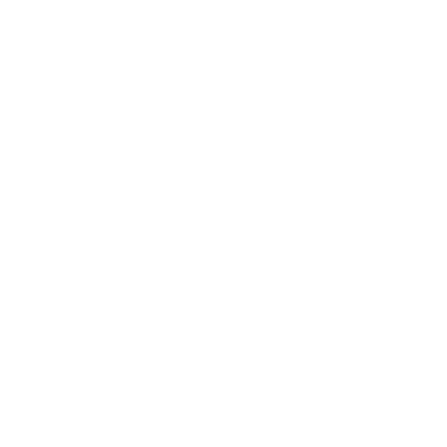 Fantis on Tour Logo - Vanlife Familie